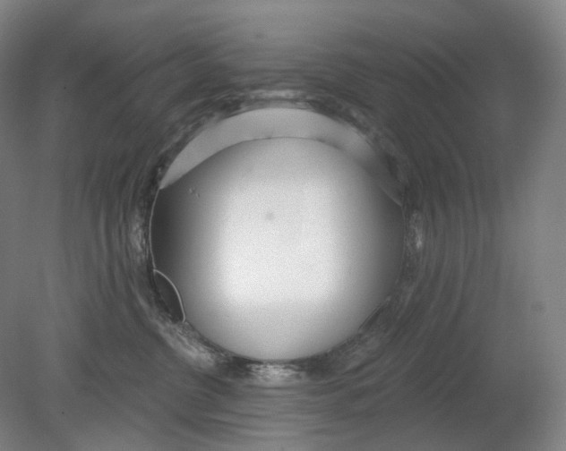 X0000080770380200701051308