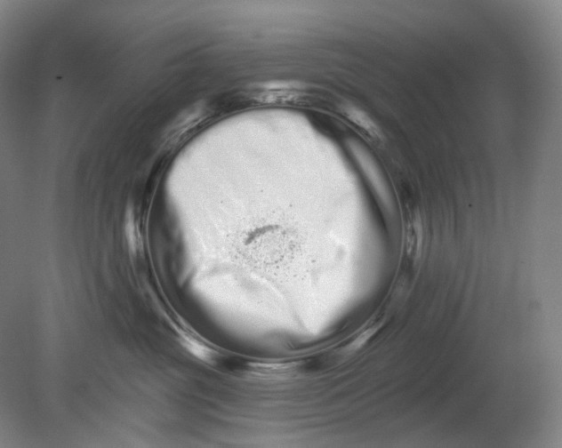 X0000080770381200701051308