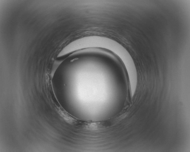 X0000080770382200701051308