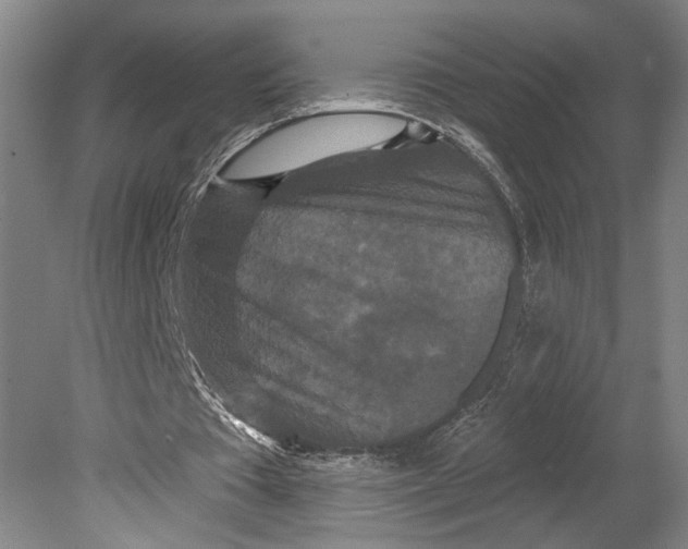 X0000080770385200701051307