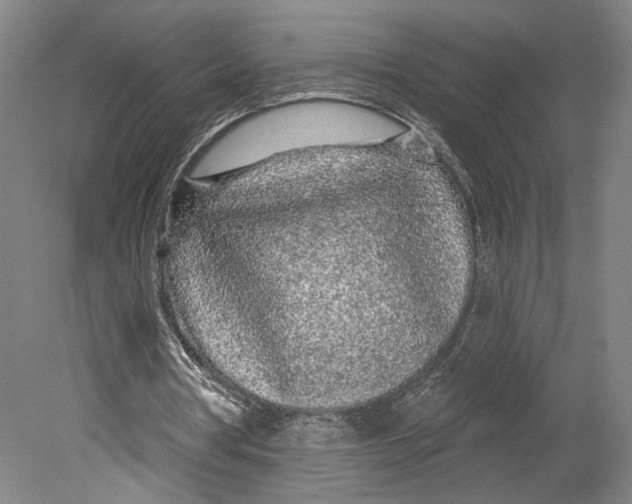 X0000080770386200701051307