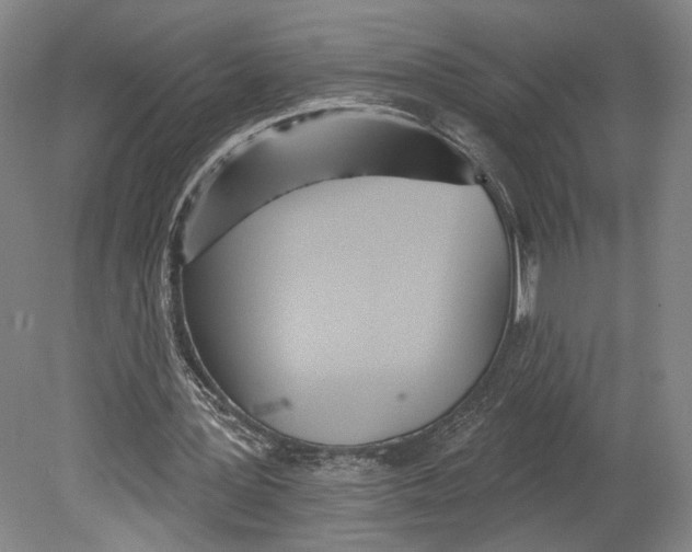 X0000080770387200701051307