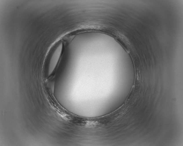 X0000080770388200701051307