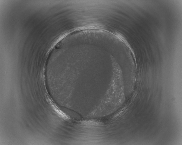 X0000080770389200701051307