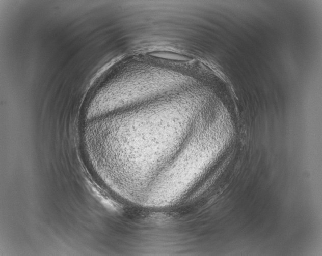 X0000080770390200701051307