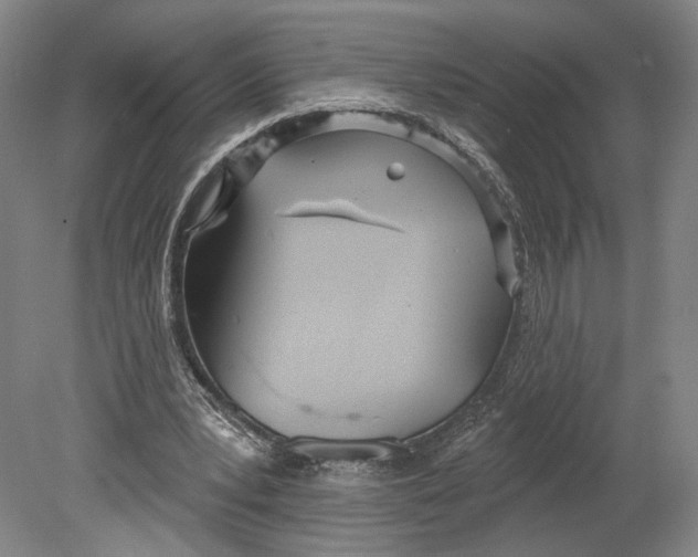 X0000080770391200701051307