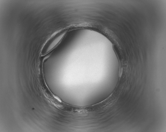 X0000080770395200701051307