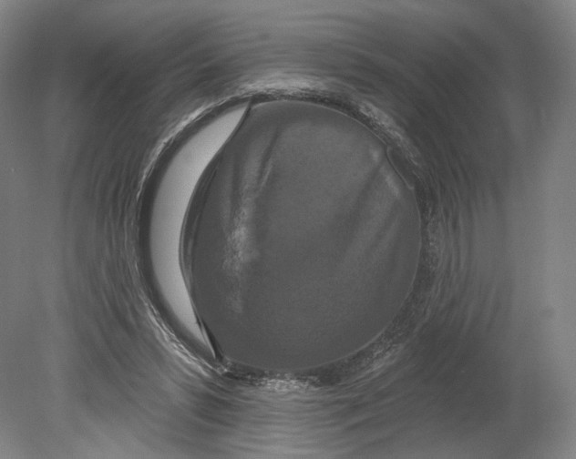 X0000080770399200701051307