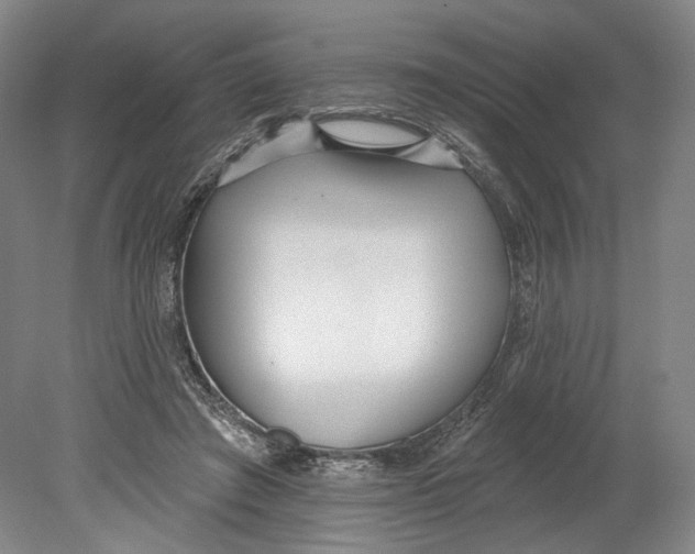 X0000080770401200701051307