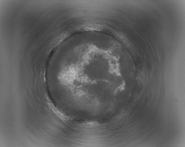 X0000080770402200701051307