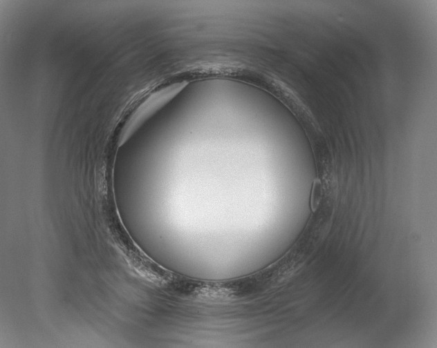 X0000080770403200701051307