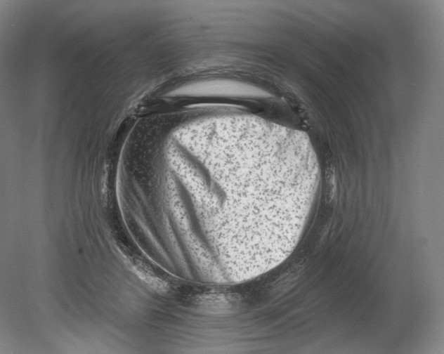 X0000080770404200701051307