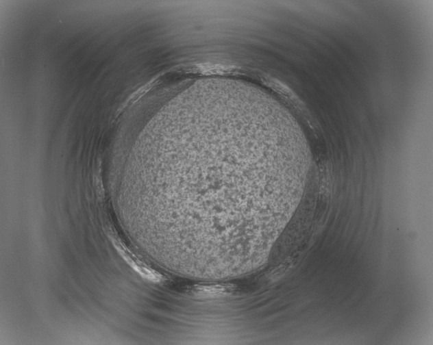 X0000080770405200701051307