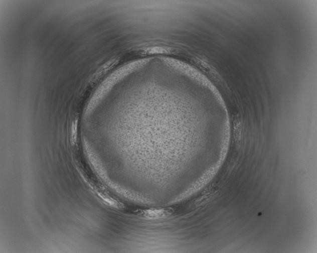 X0000080770406200701051307