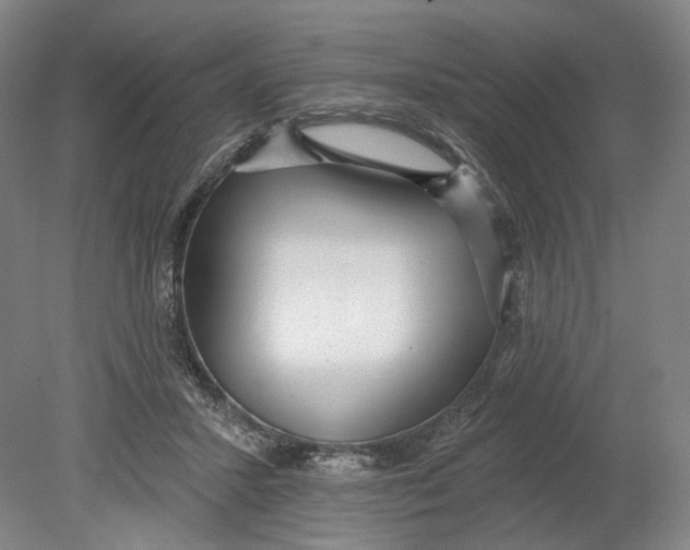 X0000080770407200701051307