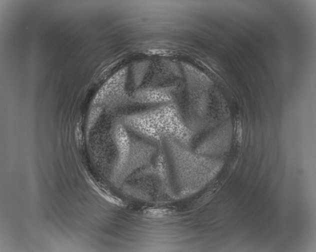 X0000080770408200701051307