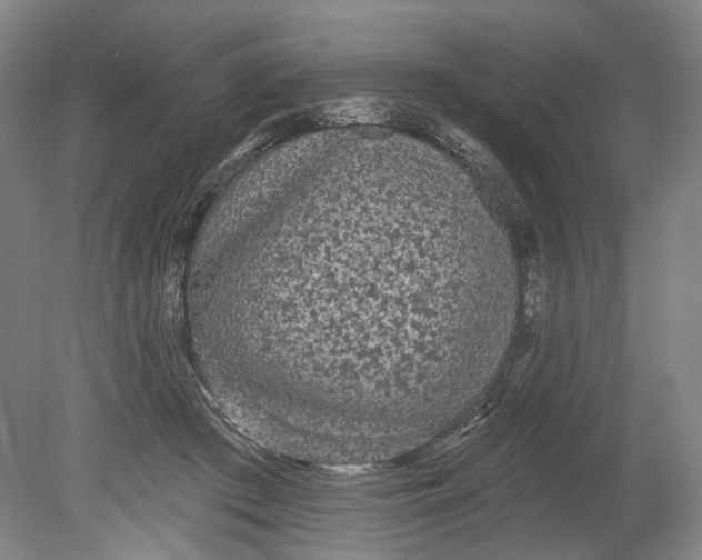 X0000080770409200701051307