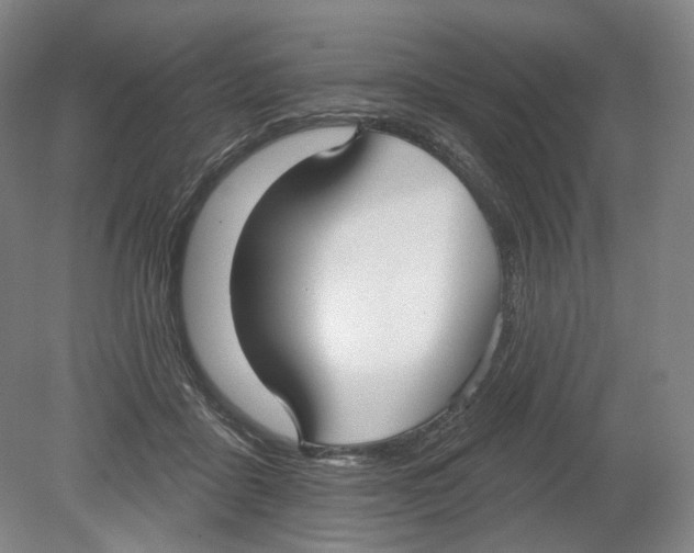 X0000080770411200701051307