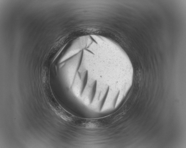 X0000080770412200701051307