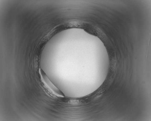 X0000080770413200701051307