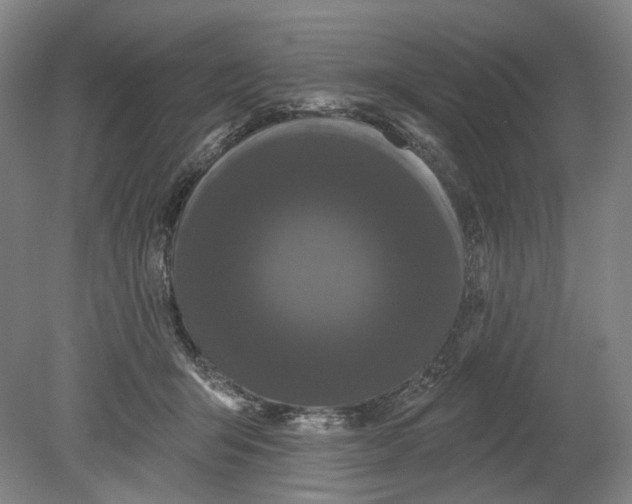 X0000080770415200701051307