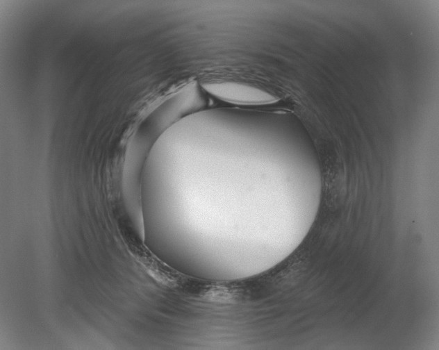 X0000080770416200701051307