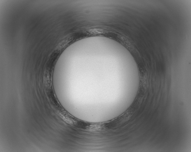 X0000080770418200701051307