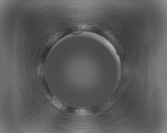 X0000080770419200701051307