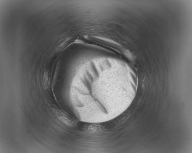 X0000080770420200701051307