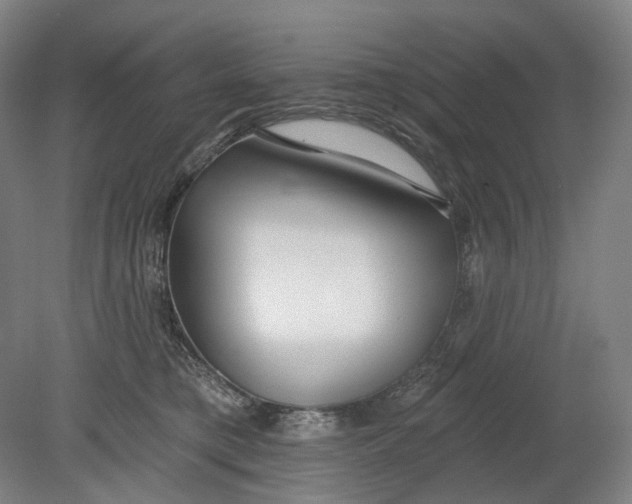 X0000080770421200701051307