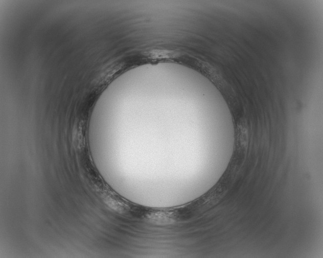 X0000080770422200701051307