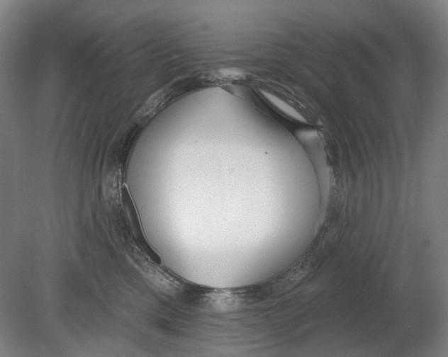 X0000080770425200701051307