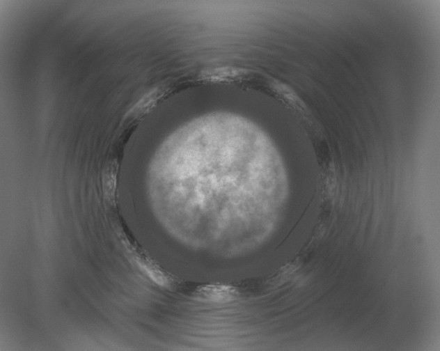 X0000080770427200701051307