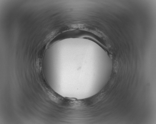 X0000080770428200701051307