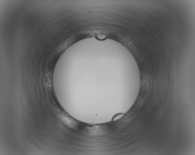 X0000080770430200701051306