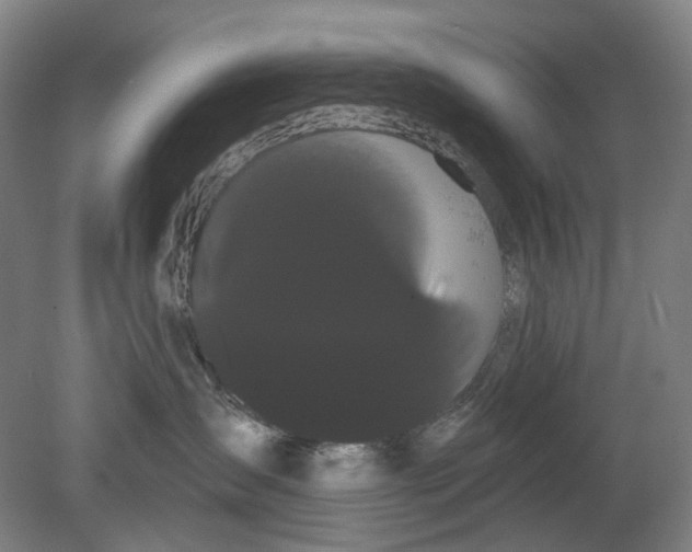 X0000080770431200701051306