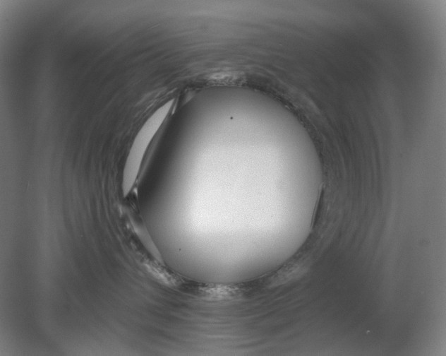 X0000080770432200701051306