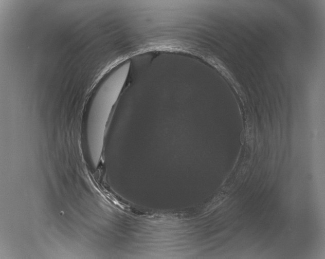 X0000080770434200701051306