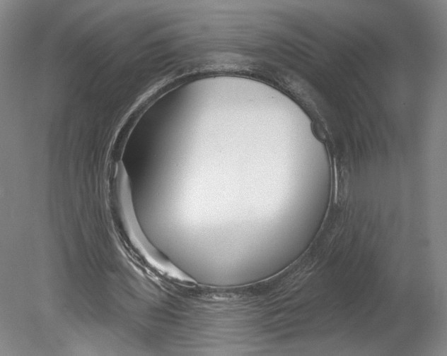 X0000080770435200701051306