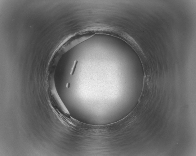 X0000080770436200701051306