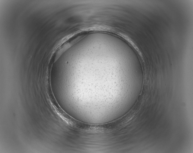 X0000080770437200701051306