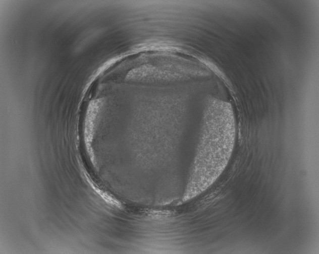 X0000080770438200701051306