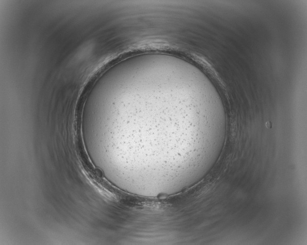 X0000080770439200701051306