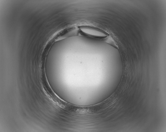 X0000080770440200701051306