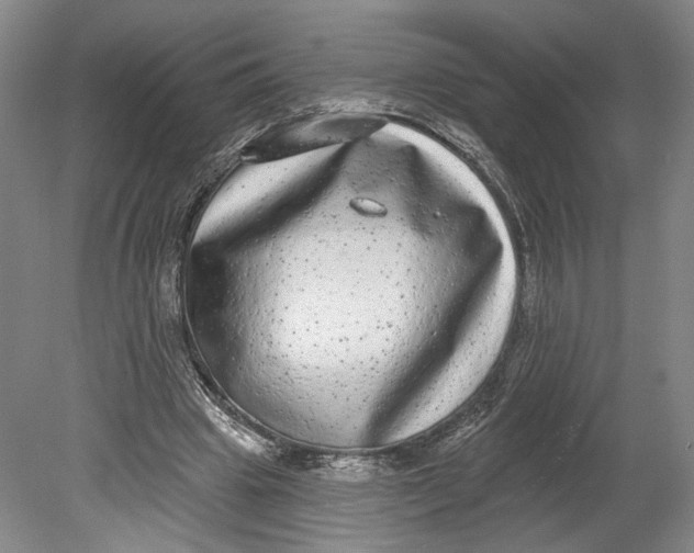 X0000080770441200701051306