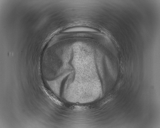 X0000080770442200701051306