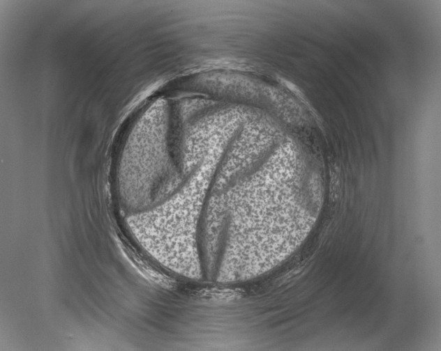 X0000080770443200701051306