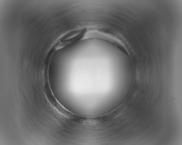 X0000080770444200701051306