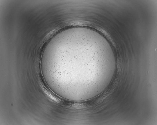 X0000080770445200701051306