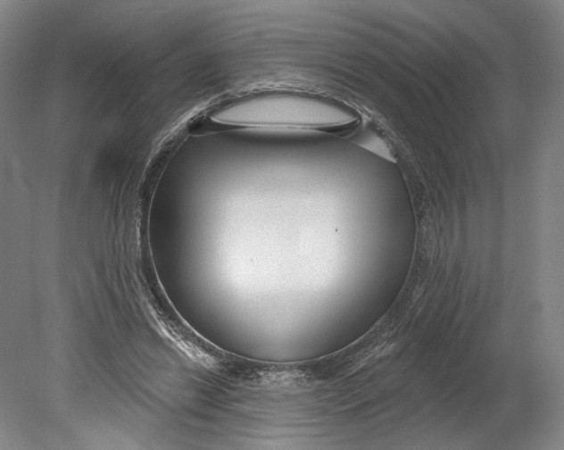 X0000080770446200701051306